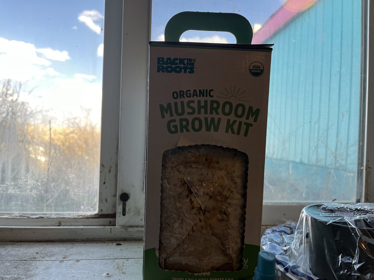 Making some mushrooms @BacktotheRoots #growonegiveone