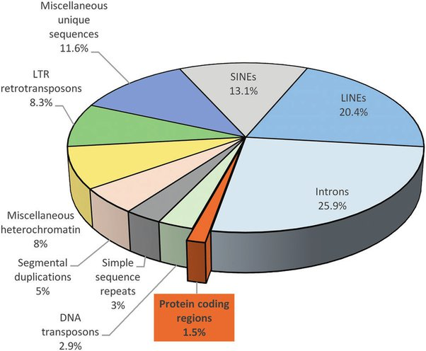 Proteins are what perform useful functions in the body, but the vast majority of DNA does not code for any protein - rather, it regulates which proteins get made The same is true of our legal code - it's mostly junk. A short 🧵 about viruses, evolution, and regulatory capture