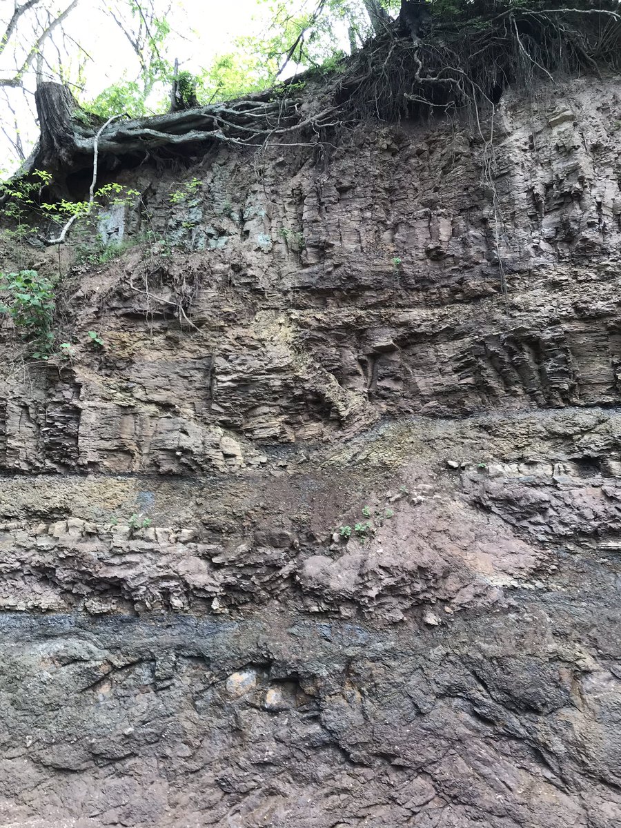 Structure people, WTF happened here? Conemaugh Group, upper Casselman Formation (late Carboniferous fluviolacustrine deposits). No major coals beneath so not mine subsidence. Deformities like this aren’t super common in this region.