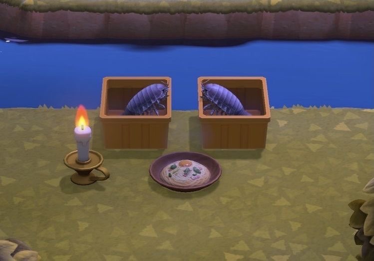 what if we were two pill bugs sharing a romantic candle lit dinner