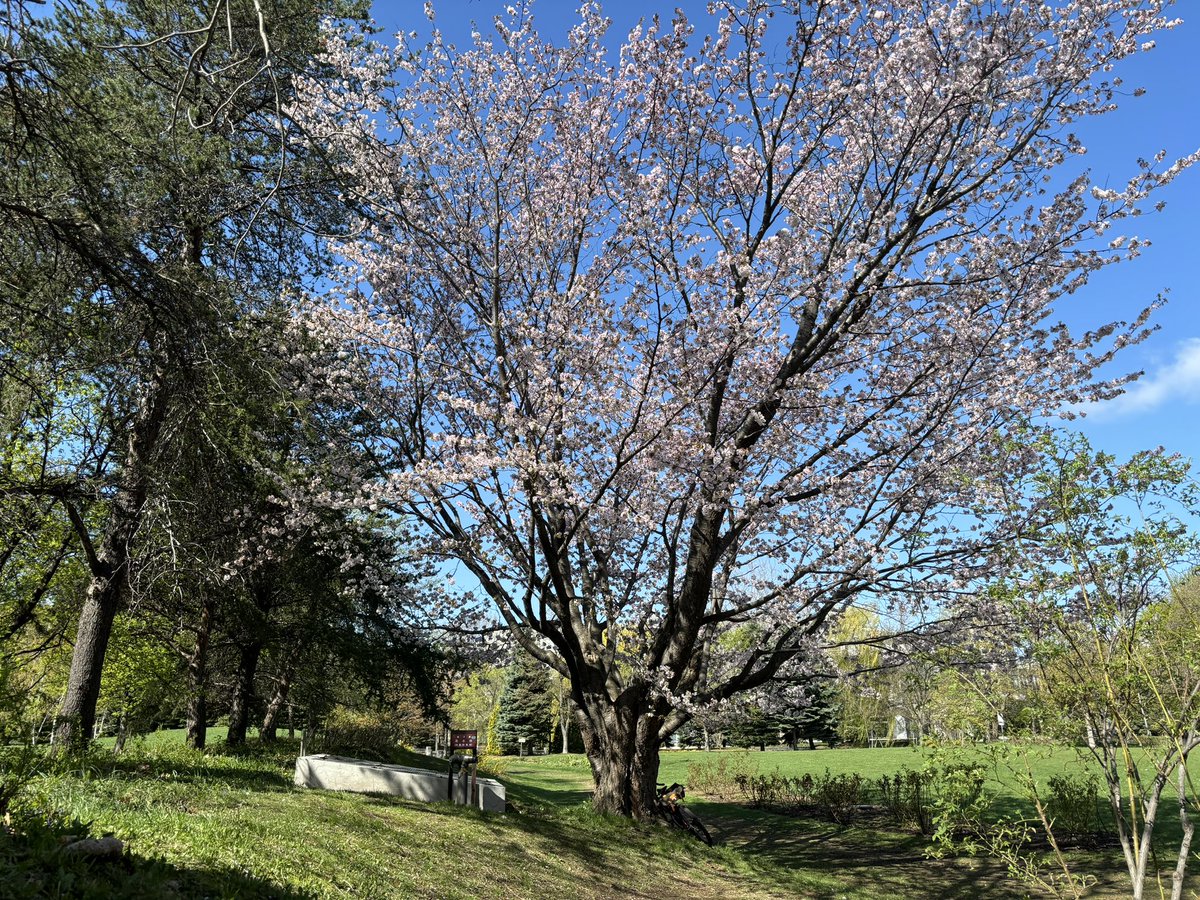 本日も受付開始しました！ ご来館お待ちしております😊 お部屋暖めてお待ちしています😊 twipla.jp/events/606257