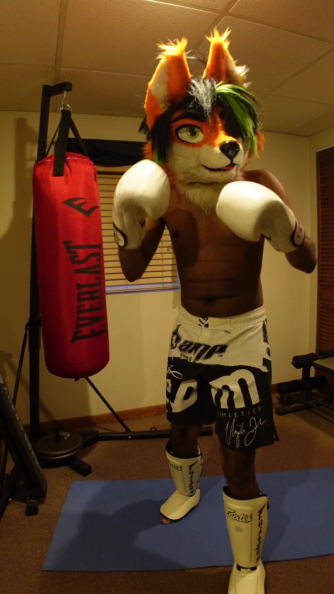 I need a sparring partner again! My last one had a little...accident...yeah let's go with that.😏

Anyways get your gloves and your mouthguard!🦊🥊
#FursuitFriday #fursuit #fursuiter