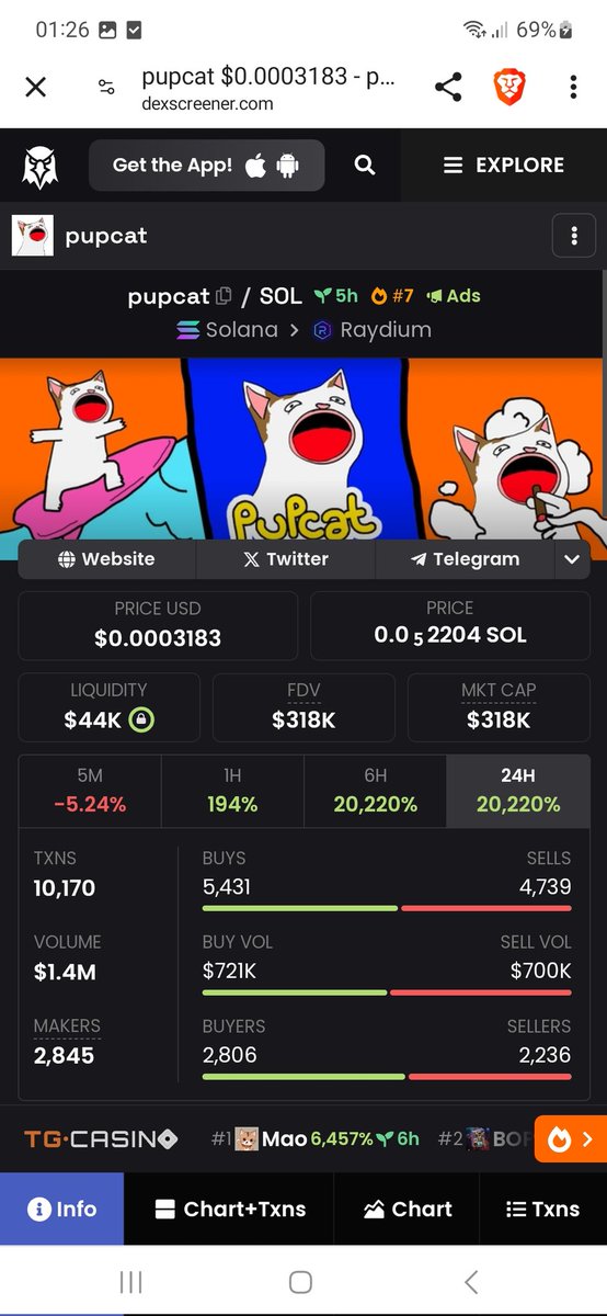 @stekisteks That why i'm focused on @pupcatsol

$Pupcat is an Internet meme originating from popcat and it’s autistic version 🙃

📊 dexscreener.com/solana/CHqtpuK…

#SOL #MEMES #altcoinseason