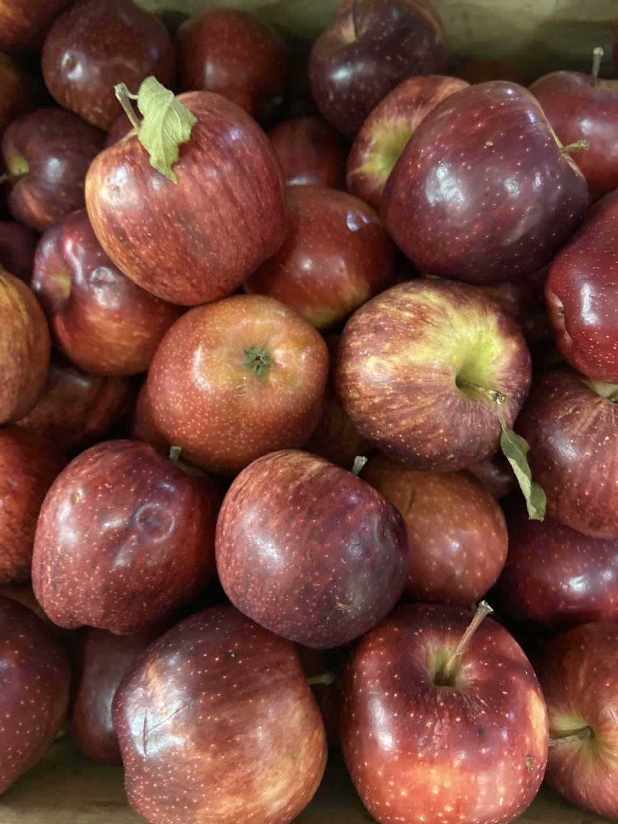 😻Today is National Teacher Appreciation Day! Don't forget to give your instructors, mentors and professors an apple or a departing message as you leave campus. 🍎

Regionally sourced apples pictured here from Nelson Court on South Green.

#thrive #ohiofood #ohioeats #athensohio