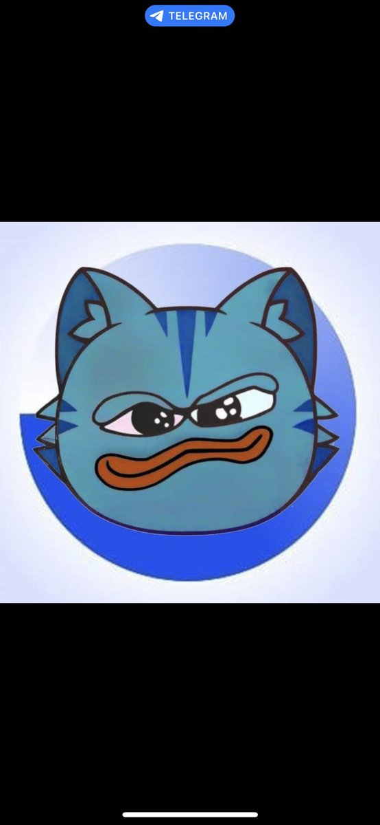 DavidMinnella's tweet photo. @Leftonred00 @monkapes_x @Bomecatofficial No brainer $BOCAT
#BOCAT
#BOCATNEXT1000XGEM
#BOCATTOTHEMOON
#NEXT1000XPLAYBOC https://t.co/AVX7cc3XHS