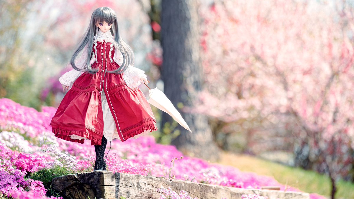 JohnAng32460836's tweet image. 桃花と芝桜