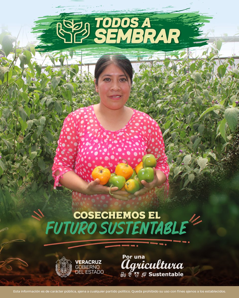 ¡Vamos #TodosASembrar! 🌱✨ Estamos en la temporada perfecta para sembrar en nuestro campo, huerto o jardín, gracias a las condiciones del clima. 🌦️ ¡Produce tus propios alimentos como hortalizas, semillas, frutas y verduras! 🍋🍓🥑🫛 ¿Te unes? 👩🏻‍🌾👨🏻‍🌾