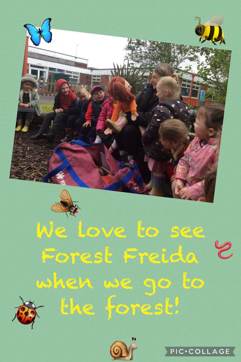 Looking for mini beasts in their homes is fun , especially when we visit the forest to see them! 🪴🐌🐛🪰🐞🪱 🌳 #ethicalinformedcitizens We care about our environment! Ardderchog! #CGIHUM #CGISCI
