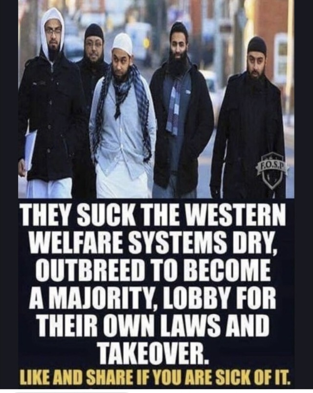 RickyDoggin's tweet image. And in the process, they turn the host country into the same shithole as the county they left.