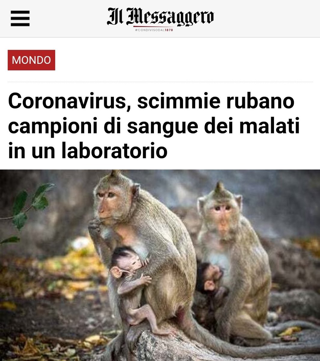 Il mio personalissimo omaggio alla Giornata mondiale della libertà di stampa