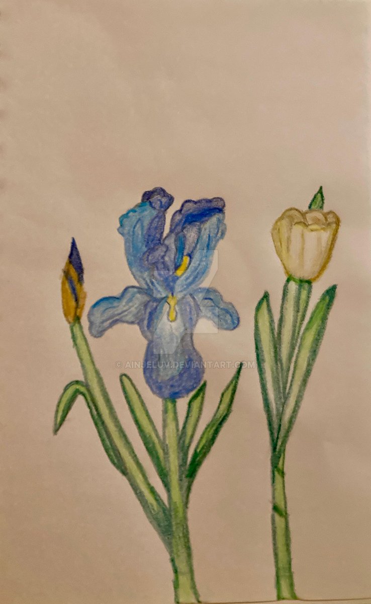 ainjeluv's tweet photo. Latest drawing; hope you like it. (original post found at https://t.co/WRUBS9K41t) https://t.co/iGn1uk6S9C