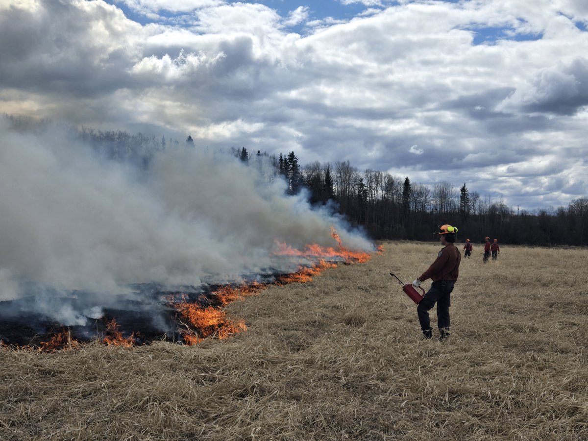 In collaboration with the Nak'azdli Whut'en and Fort St. James Volunteer Fire Dept, #BCWildfire conducted three prescribed burns in the #FortStJames area yesterday, May 2. Approx 8.5 ha of land was successfully treated. Smoke may contine to be visible to surrounding areas.