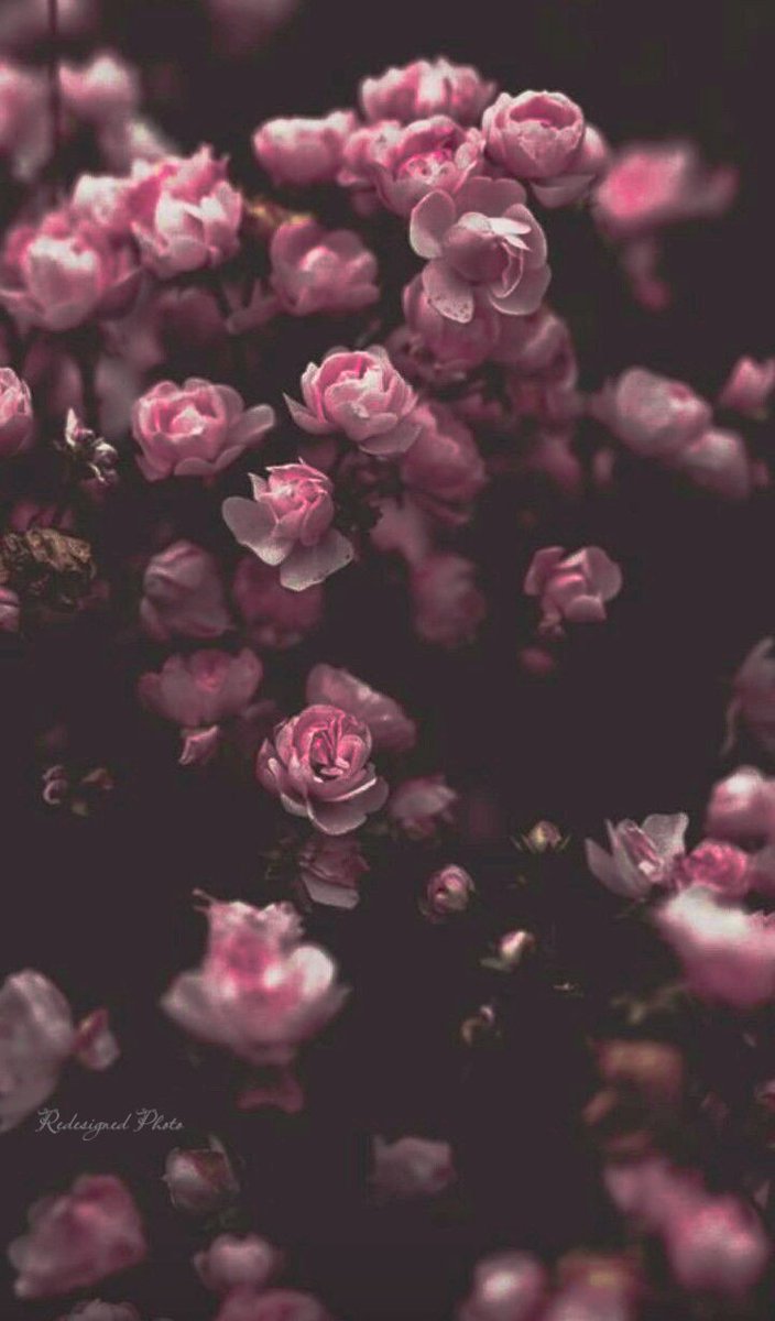 ❁˖~ peace &amp; love ~˖❁˖° 

Just because…
a person smiles all the time
doesn't mean their life is perfect. 
That smile is a symbol of 
hope and strength…

~unknown 

•°˖❀˖* smile °˖❀･ﾟ･˖