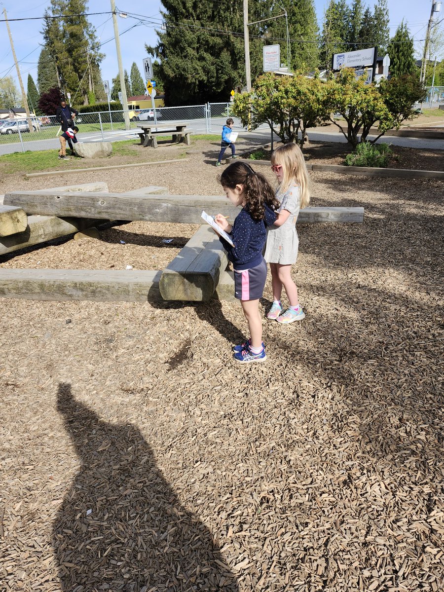 In math, we are doing shapes, so of course we should go on a shape hunt! #outdooreducation @Alexander__Elem @AbbotsfordSD34 #abbyschools