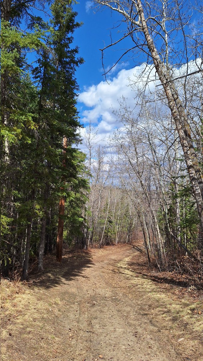 pattage23's tweet photo. Spring in #Edmonton is beautiful.
#SpringStrolls #yegSpring
/end https://t.co/d6JIYiZe6l