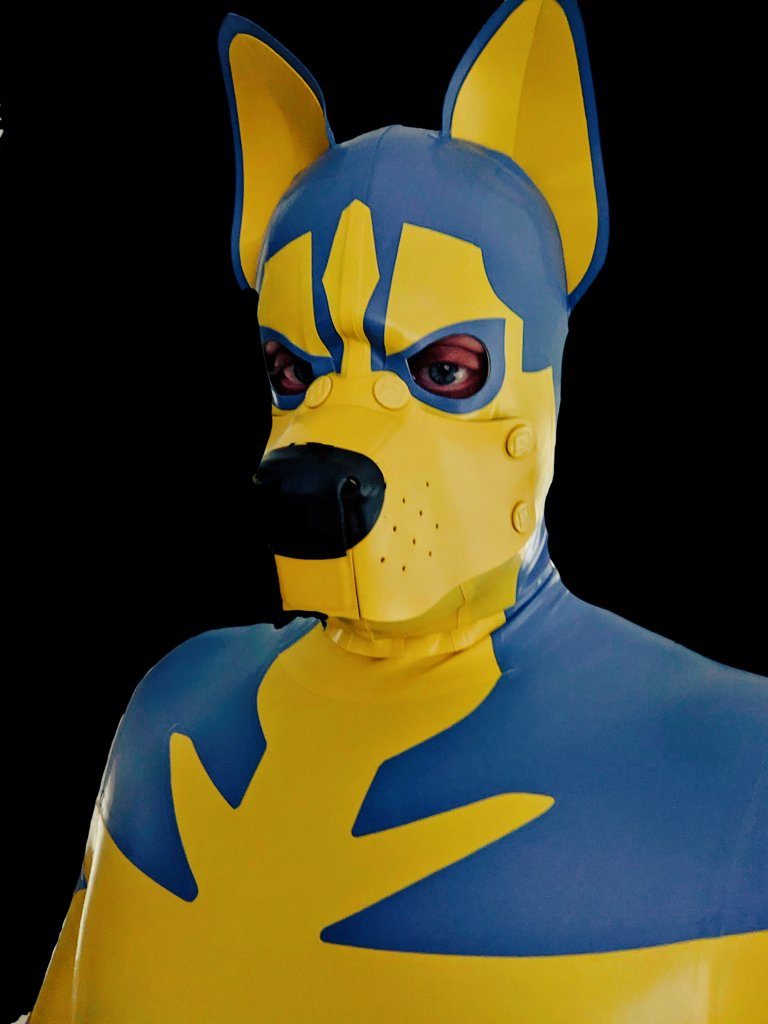 gearedrock (Pup Paws) @ gbus tweet media