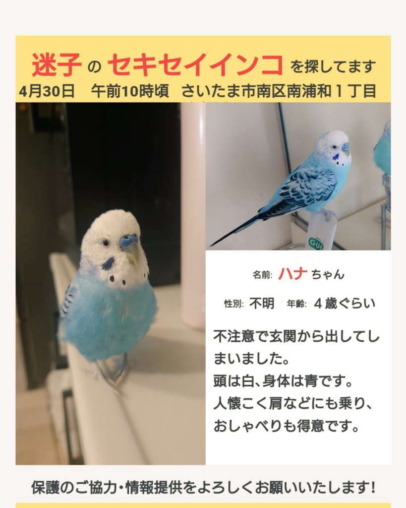 Mayumi Sasaki (@HandM0506) / Posts / X