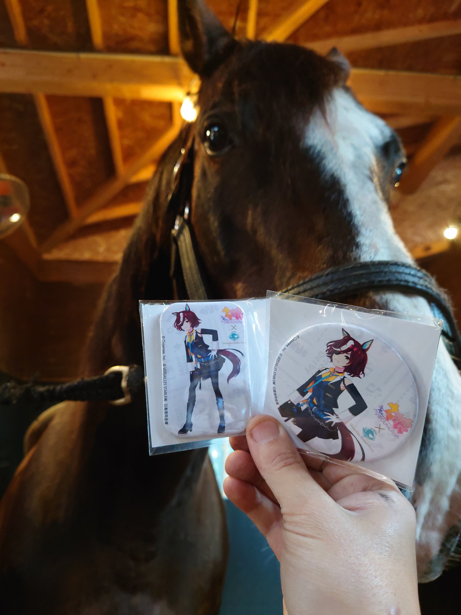 ウマ娘 プリティーダービー キャラバッジ タニノギムレット 24個 セット 楽天市場】ウマ娘 プリティーダービー キャラバッジコレクション