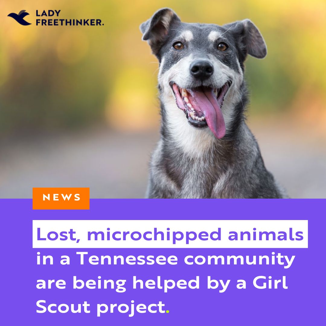 Thanks to an ingenious Girl Scout project by a troop in Williamson County, Tennessee, lost animals with microchips are able to be reunited with their families day or night. Read about the 24/7 microchip scanner kiosks the troop created: ladyfreethinker.org/girl-scouts-in…