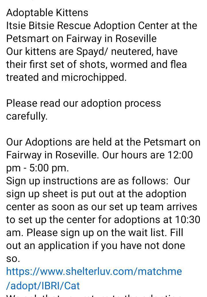 If you want to adopt a #kitten, please fill out an application when you see the individual kitten(s) posted as Available. Please read the images. #rosevilleca #petsmart1184 #adoptdontshop