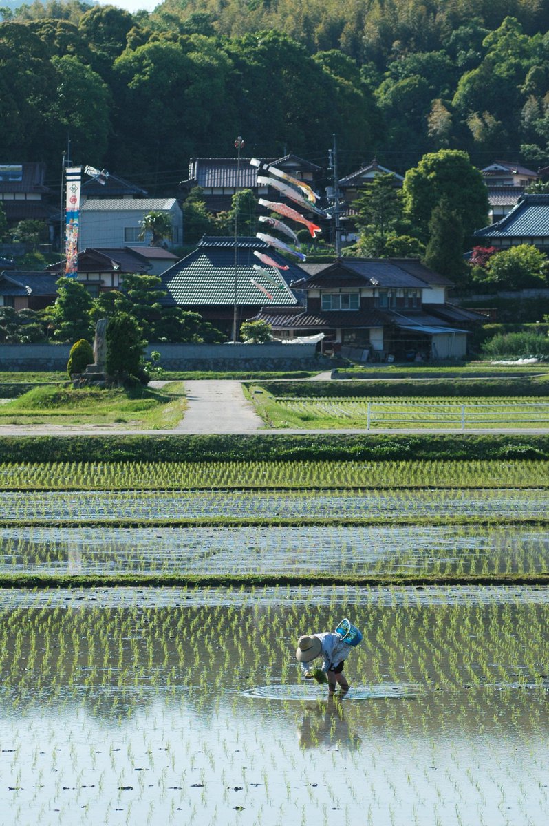 「田植えの頃」〜多分、千代田町にて〜

私が一番好きな季節、一番好きな風景。田植えの頃。