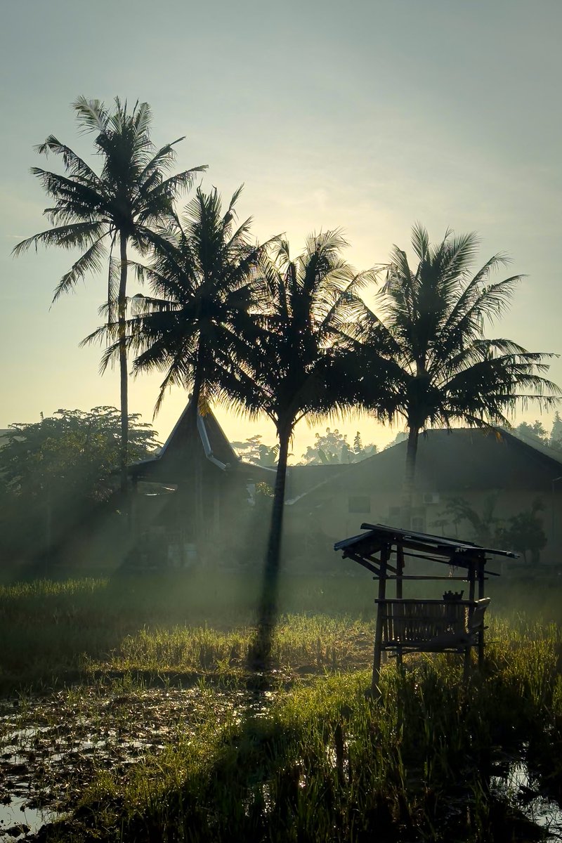 Menyambut Sabtu pagi

📍Tamantirto, Bantul 

#SaturdayMorning 
#streetphotography 
#landscapephotography 
#Documentary