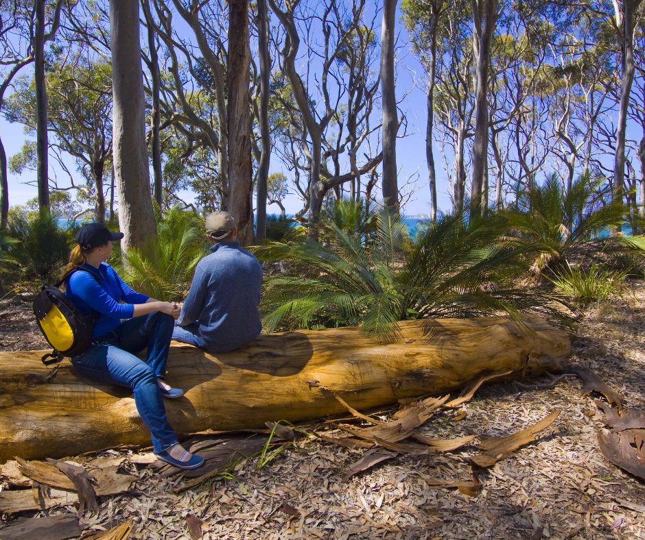 There's a wonderful walk on the northern shores of Batemans Bay. Cullendulla Boardwalk is a wonderful estuary, bush and beach combined. Enjoy it when next you visit us. 
#batemansbay #greatwalks #clydeview