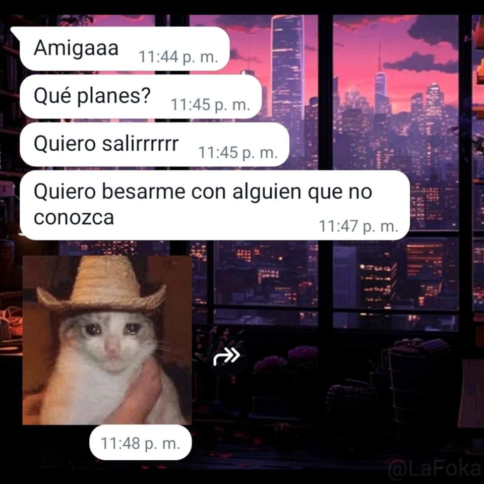 Belle Cathal (@bellecathal) on Twitter photo 