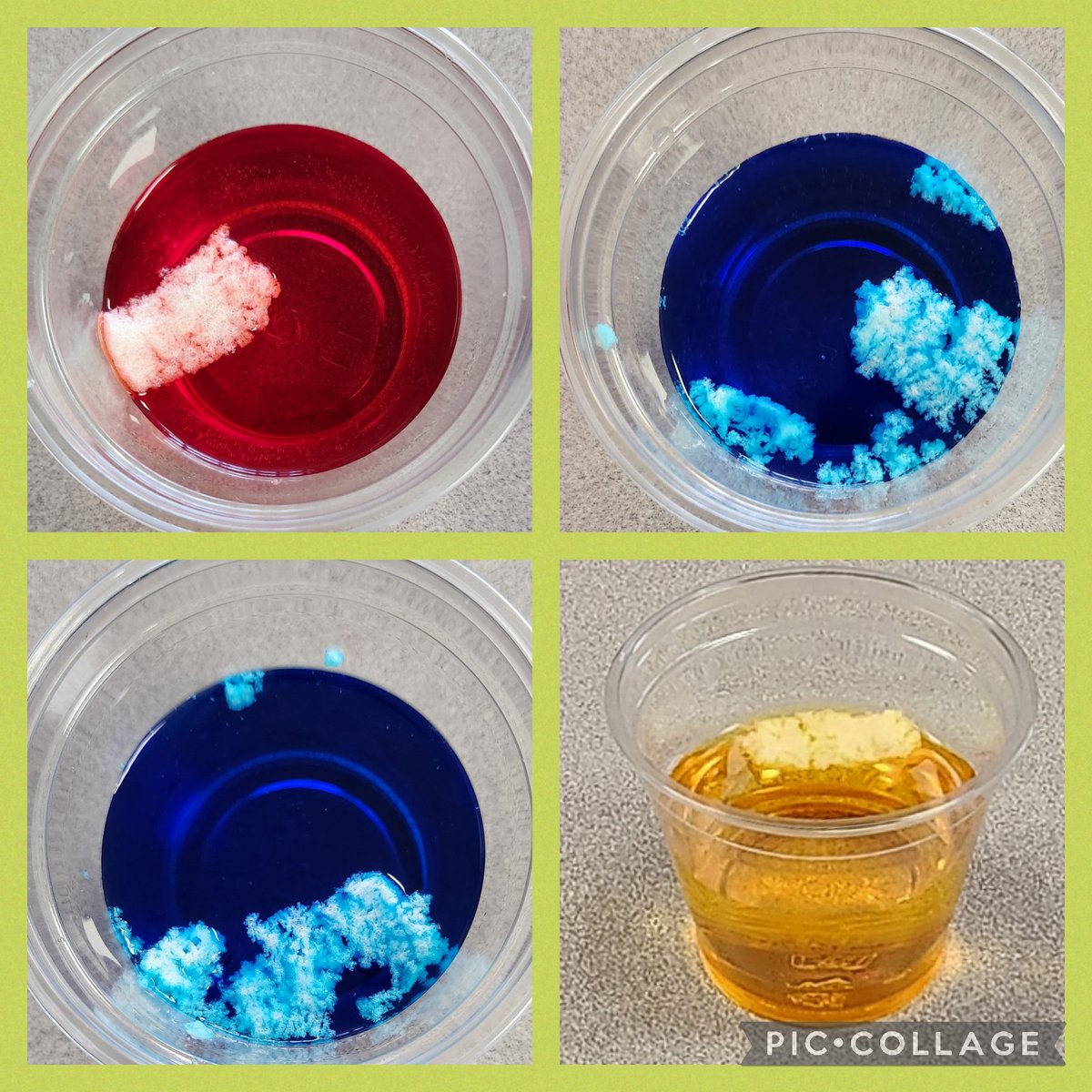 Did experiment with each class. Pictures taken at end of day. Red was first hour and held up the best. Blue disintegrated before end of classes. Yellow was last class and bet it would be like red. @dailystem thanks for the lesson idea! #STEMeducation