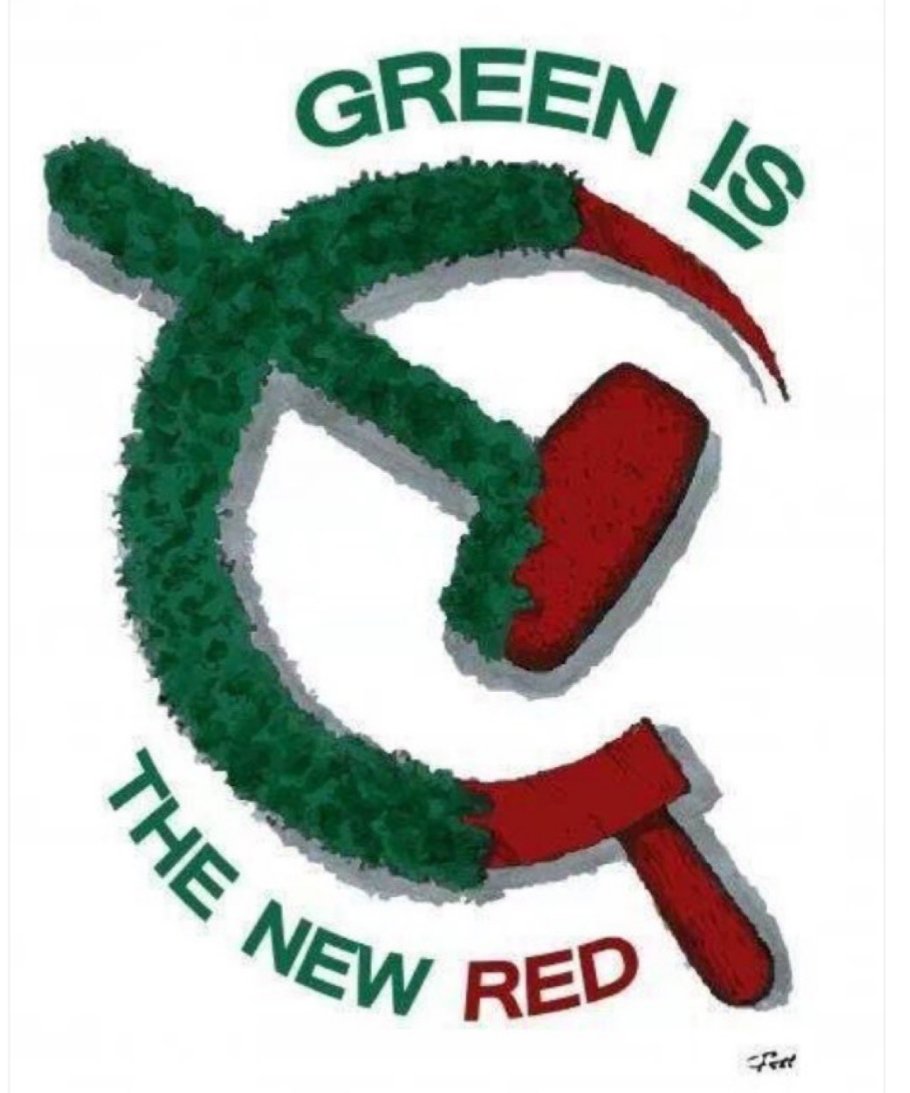Anyone voting for the @greenparty_ie is mentally retarded or an #ngocrunt , all paedos & child groomers pushing their Leftie Woke Ideology #greenHoax - Voting for them is just accepting more taxes ? #LE2024 #VoteThemAllOut #takeoutthetrash #MakeIrelandSafeAgain #DAILdeviants