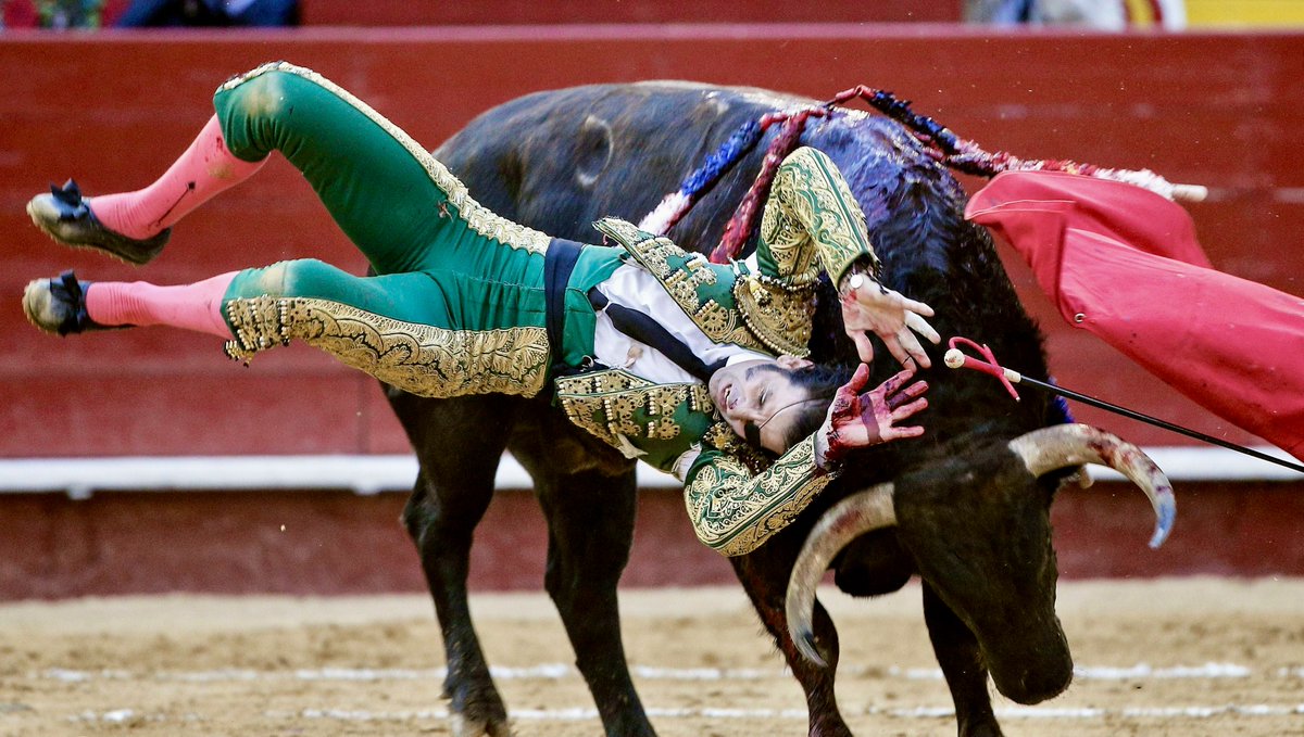 #Spain

Some sanity at last. Spain has abolished its national bullfighting award ($32,217) amid declining support for using public money to reward animal torture.

Right-wing conservatives are furious, they say it's an art form & cultural tradition.