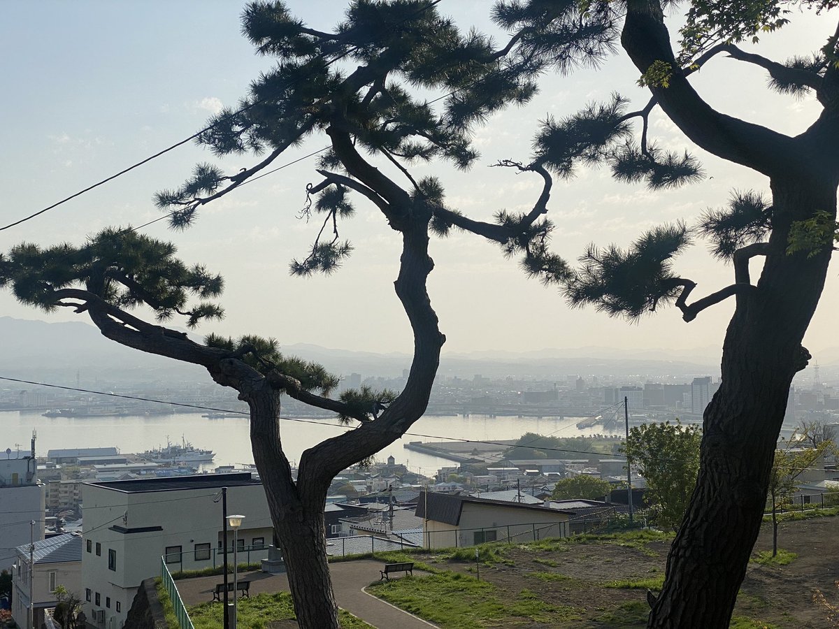 freeperson118's tweet photo. よっ🤚🏻 https://t.co/lU9VsHiC8w