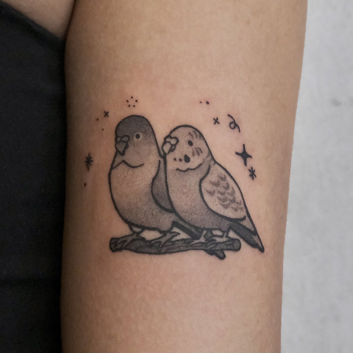 「custom design of a pair of adorable bird」|Lucy Zhang 🎨 available for work!のイラスト