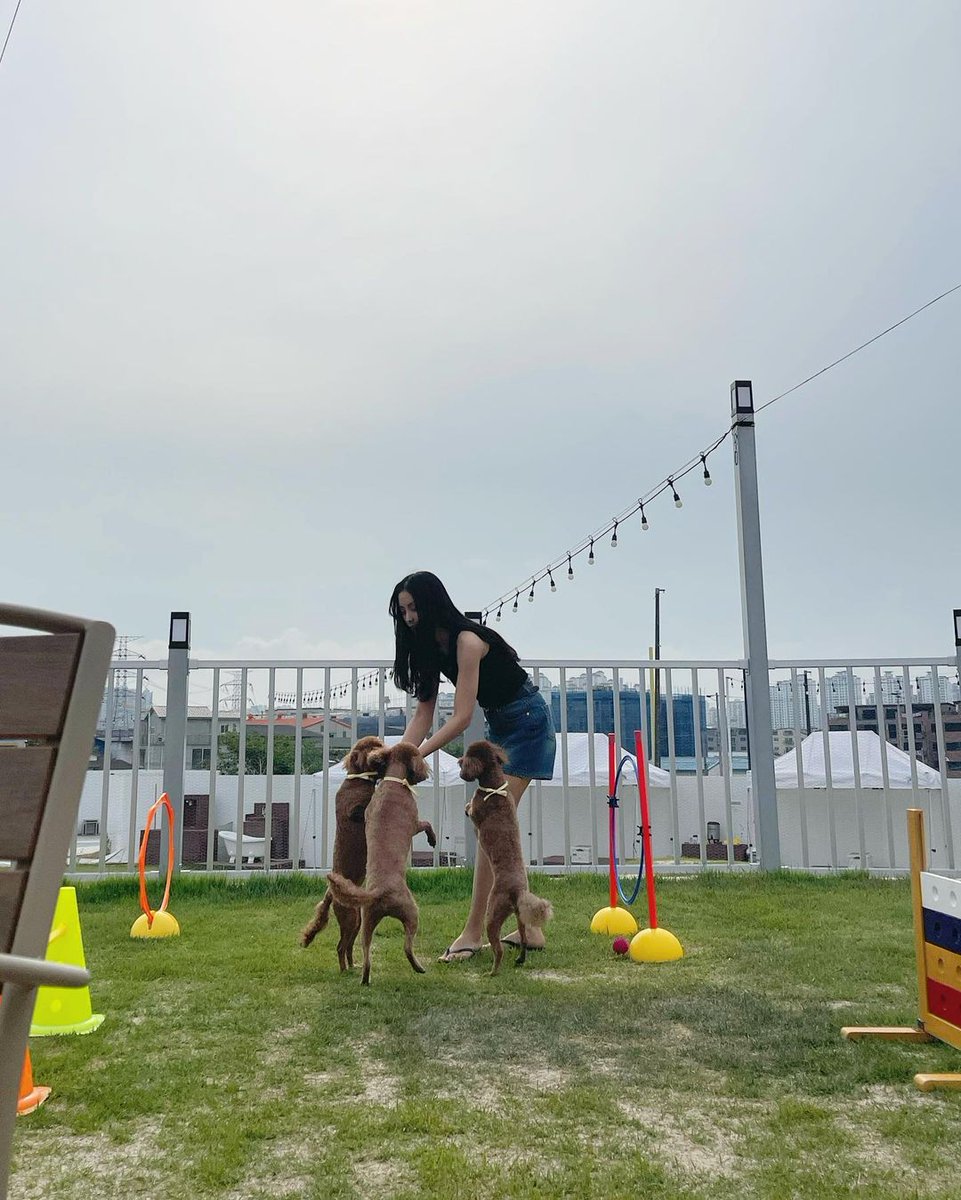 lithemia credible doublespeak adipose
It's a nice day for a dog walk