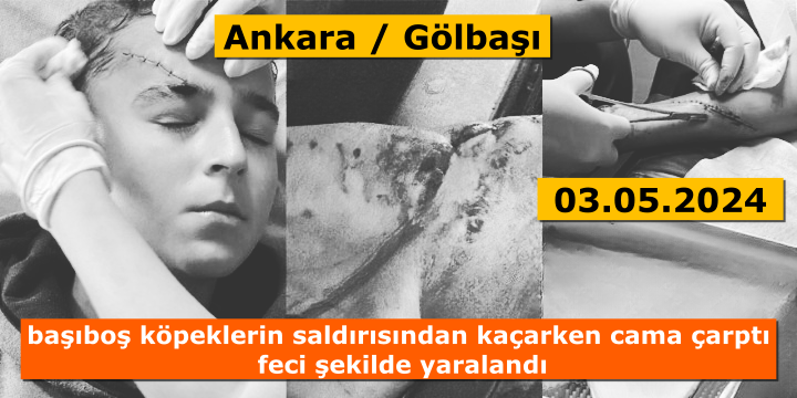 🚑Başıboş köpek saldırısı 🏥Yılmaz ABAZLIOĞLU (12) 📍Ankara / Gölbaşı 📆03.05.2024 Sokakta oynarken başıboş köpeklerin saldırısından kaçmak istedi, cama çarptı; el, kol, bacak ve başından feci şekilde yaralandı. 🔶 30 Nisan günü, toplama yapan Gölbaşı Belediyesi ekipleri ile…