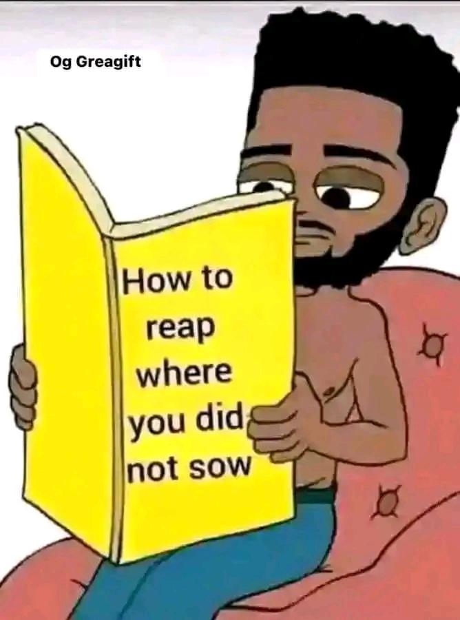 Zero connection
Zero coding knowledge
Zero influence

But still searching for that 100x gem 💔😔