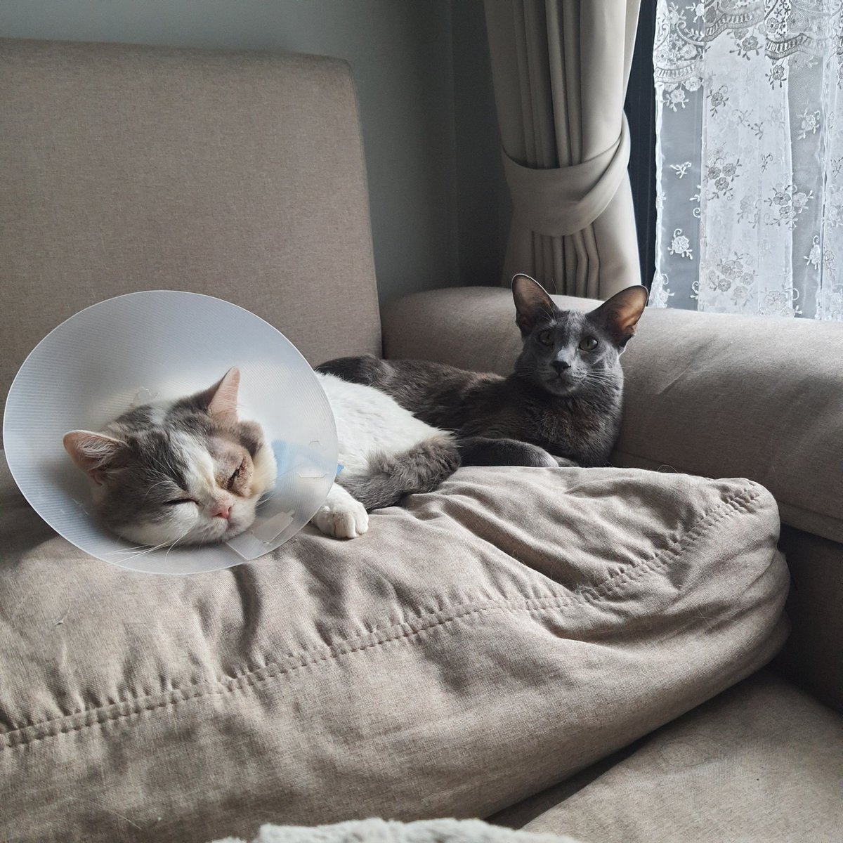 เรื่องราวเช้านี้