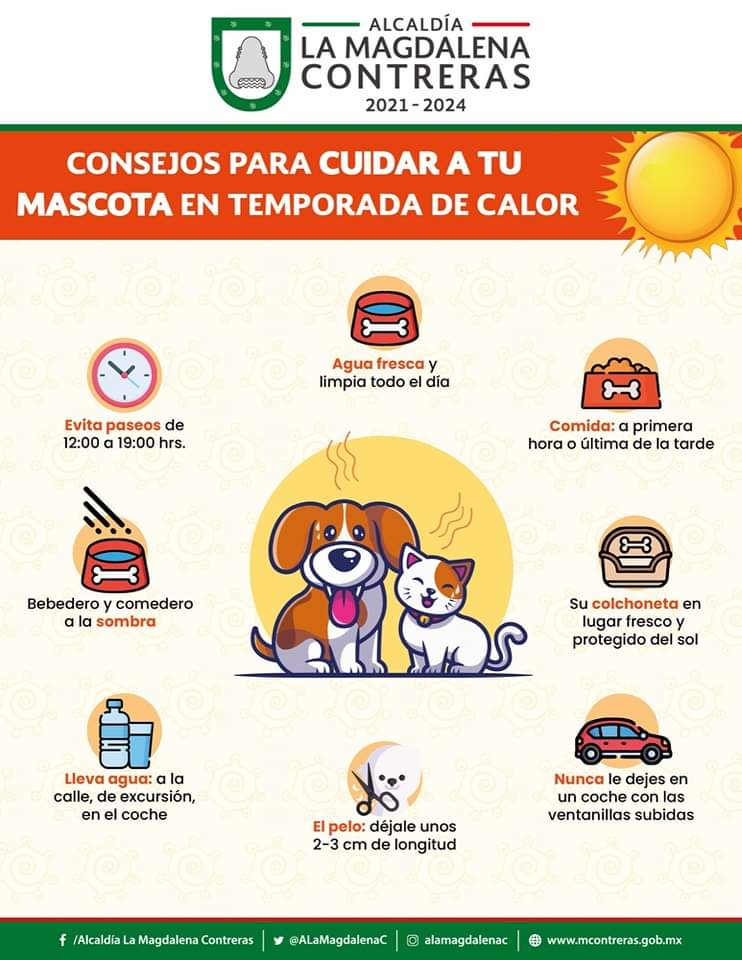 🟢🟢🟢 #BienestarAnimal || Nuestros amigos peludos también siente calor 🐶🐱🌡️ Sigue estás recomendaciones y cuida la #salud de tus animales de compañía en esta época de calor.