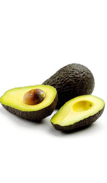 Tri_arka_Farm's tweet photo. Joey avocados adalah buah oval dan rasa Kaya. Pohon Joey Avocado tahan dingin hingga 15 derajat F. Pohon ini dapat beradaptasi dengan berbagai iklim dan kondisi pertumbuhan, sehingga cocok untuk budidaya indoor dan outdoor. https://t.co/29GlW6SDLc