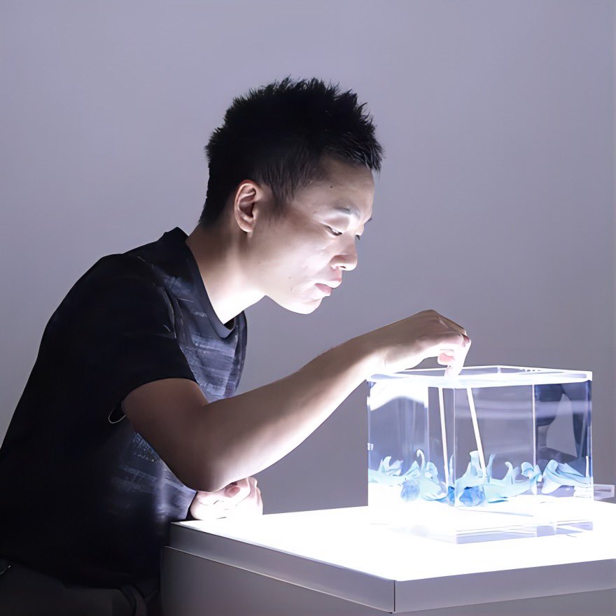 waccel_academy's tweet photo. 冨田伊織さんが新世界「#透明標本」展を開催😊

2024年4月26日(金)〜5月26日(日)
10:00〜18:00
金沢21世紀美術館

生物の内なる美を体感できる展覧会です！

幻想的な世界観の中で、生物の造形と多様性をお楽しみください✨

#コラボレーター
#ワクセル

https://t.co/kzx5ElJ8li https://t.co/9CxMLG0yeK