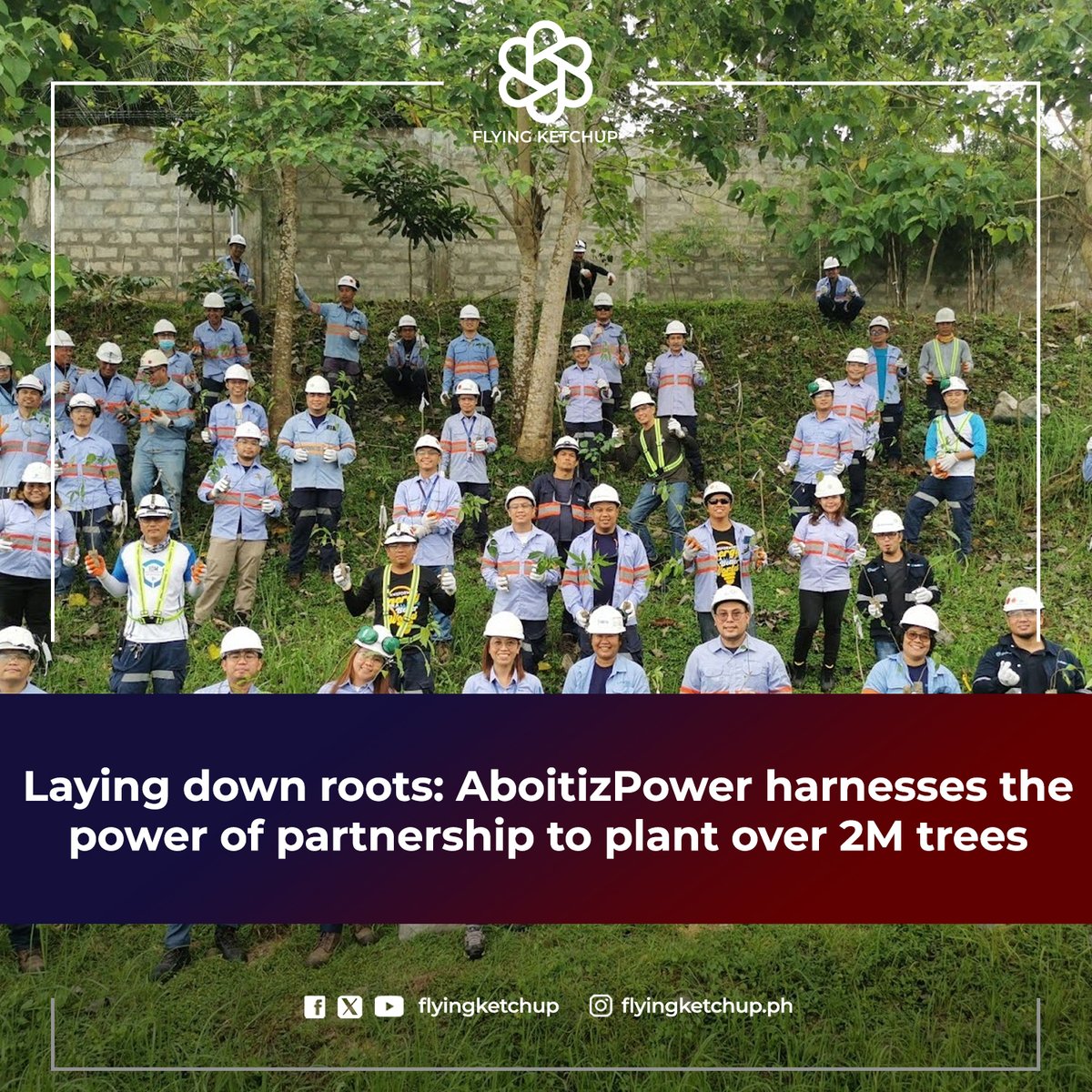 Laying down roots: AboitizPower harnesses the power of partnership to plant over 2M trees!

READ MORE: tinyurl.com/2b6jjalz

#FlyingKetchup #GoingGreen