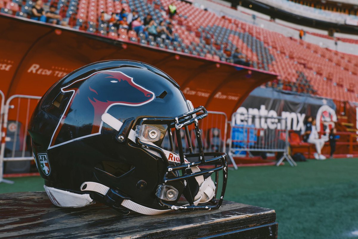 Listos para la batalla🔜

#VamosGalgos❤️‍🔥