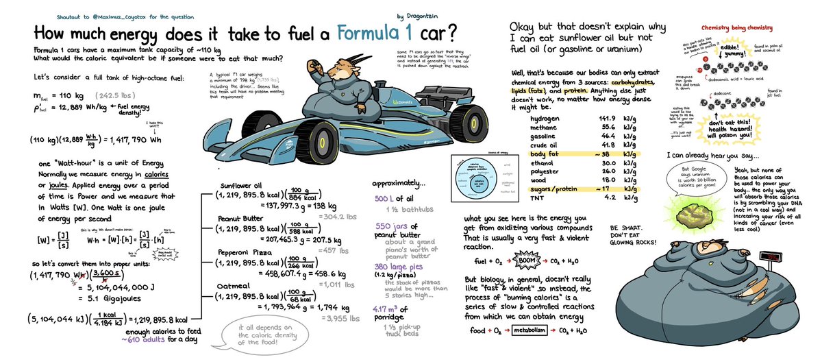 Gas guzzlers vs. grass grazers… How much energy does it take to fuel a Formula 1 Car? #ScienceWithTzin