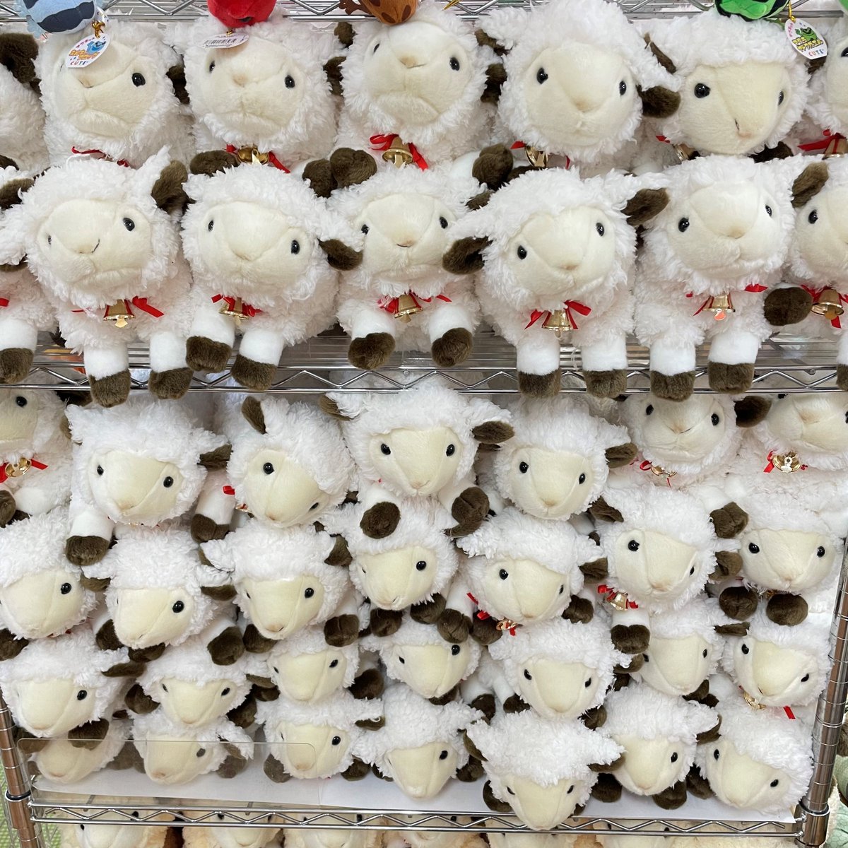 ひつじのぬいぐるみホワイトとクリームの2種類ございます? こちらはM 