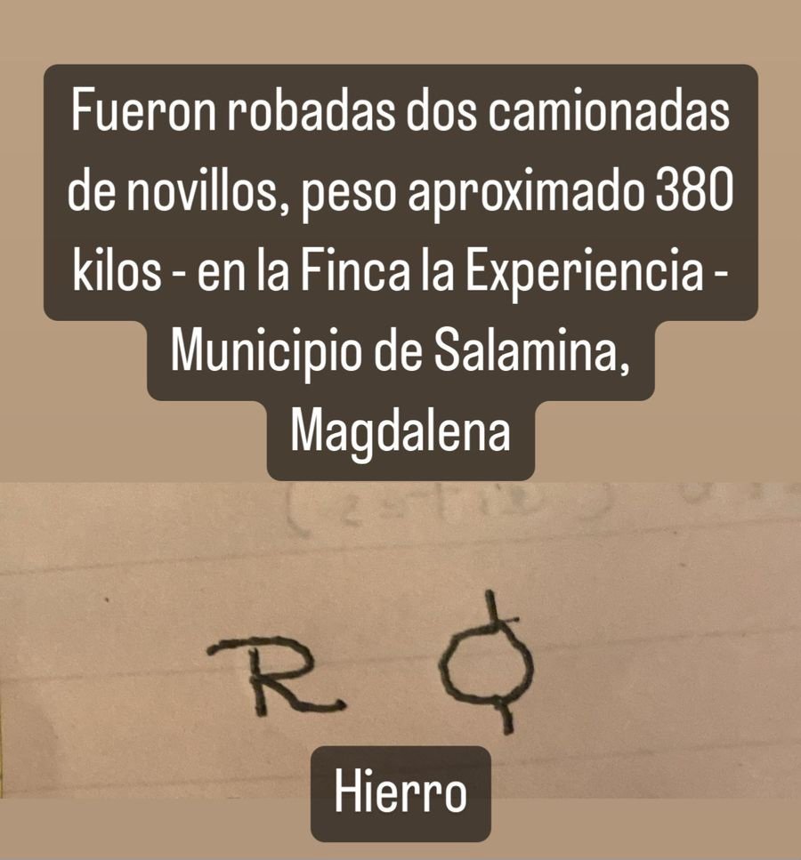 Atención! En Salamina (Magdalena) se robaron 2 camiones de novillos de 380 kg de promedio. Finca La Experiencia, propiedad del Dr. Roberto Lafourie. Solicitamos la ayuda de @CarabinerosCol @GaulaPolicia solo juntos combatimos el abigeato!