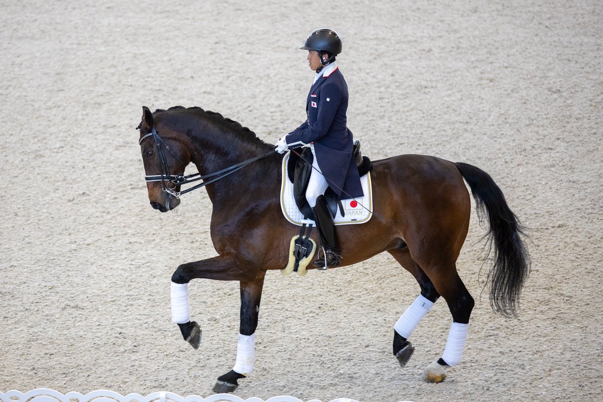 JRAホースショーのエキシビジョンで行われた、パドトロワ。
東京オリンピック馬場馬術代表３名によるハイレベルな演技、とってもかっこよかったです。
特に林伸伍さんの乗っていたフェルナンド君がほんとに見栄える馬でかっこよかった…。

#JRAホースショー 
#馬場馬術
#林伸伍