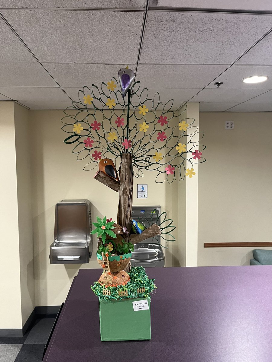 For the next month you will be able to view amazing Earth Day projects done by our students at Arcadia Public Library. <a href="/HollyAvePTA/">HollyAvePTA</a> <a href="/HollyDolphins/">Holly Avenue Dolphins</a>