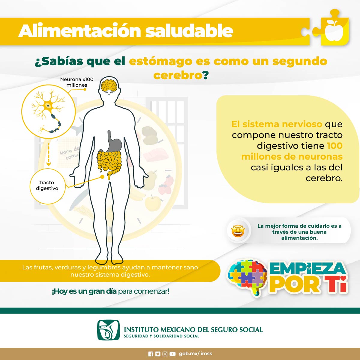 ¿Sabías que el estómago es como un segundo cerebro?

➡️ El sistema nervioso que compone nuestro tracto digestivo tiene 100 millones de neuronas casi iguales a las del cerebro?

En Salud Mental… #EmpiezaPorTi 🧠