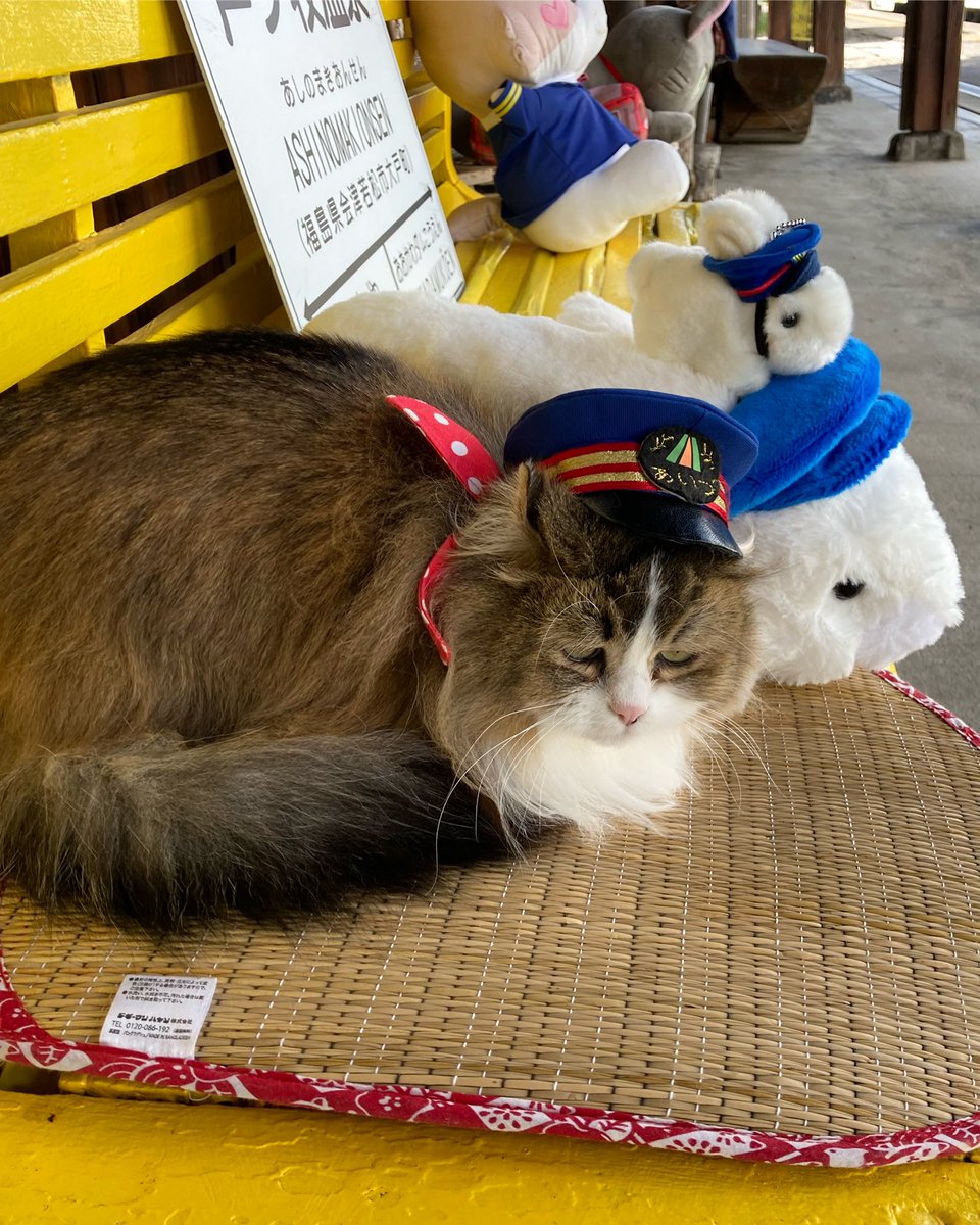 おはようございます♪さくらちゃん、定時列車のお見送りを致しました。