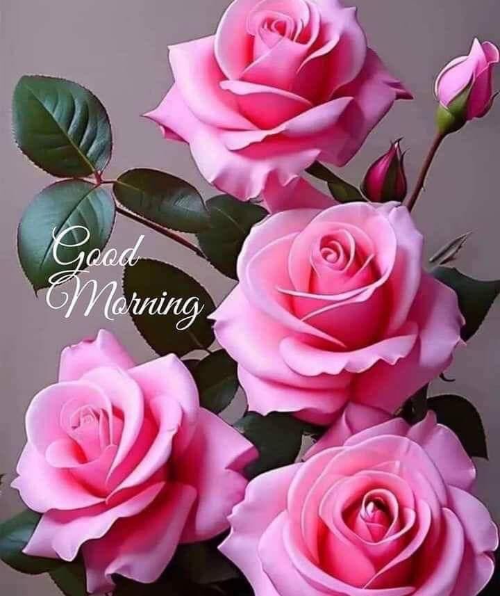 @advjyotijha Good Morning